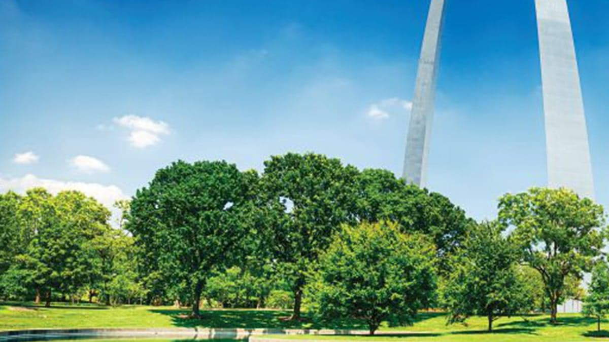 Live and practice St_Louis